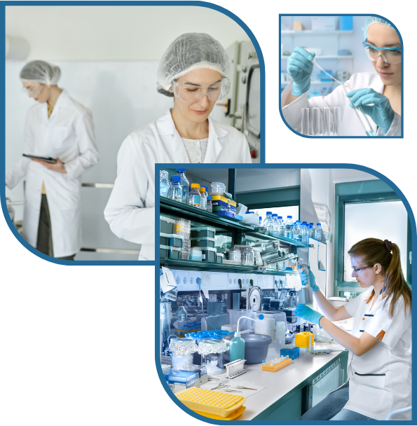 Untitled design 2026 02 25T230122.177